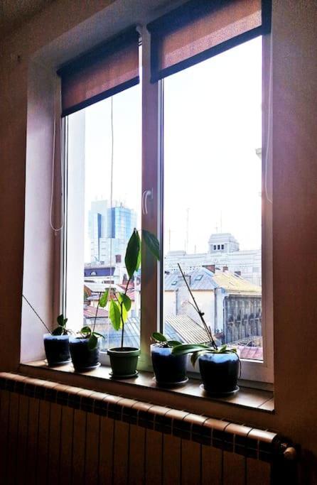 Old Town Cozy Crib *